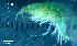  ( - LMBLP1-001)  @11 [ ] Unspecified (default): All Rights Reserved  Unspecified Unspecified