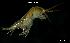  ( - LMBSAP14-001)  @11 [ ] Unspecified (default): All Rights Reserved  Unspecified Unspecified