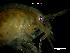  ( - LMBSAP14-002)  @11 [ ] Unspecified (default): All Rights Reserved  Unspecified Unspecified