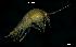  ( - LMBSAP14-002)  @11 [ ] Unspecified (default): All Rights Reserved  Unspecified Unspecified
