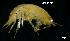  ( - LMBSAP33-006)  @11 [ ] Unspecified (default): All Rights Reserved  Unspecified Unspecified