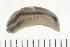  ( - 08BBMOL-0058)  @13 [ ] CreativeCommons - Attribution (2009) Unspecified Centre for Biodiversity Genomics