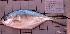  ( - MLFPI9)  @13 [ ] Unspecified (default): All Rights Reserved  Unspecified Unspecified