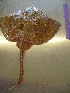  ( - MLFPM16)  @12 [ ] Unspecified (default): All Rights Reserved  Unspecified Unspecified