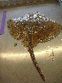 ( - MLFPM17)  @13 [ ] Unspecified (default): All Rights Reserved  Unspecified Unspecified