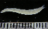  ( - MFL1183)  @12 [ ] Unspecified (default): All Rights Reserved  Unspecified Unspecified