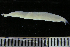  ( - MFL1187)  @12 [ ] Unspecified (default): All Rights Reserved  Unspecified Unspecified