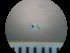  ( - MFL1306)  @12 [ ] Unspecified (default): All Rights Reserved  Unspecified Unspecified