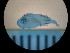  ( - MFL1419)  @12 [ ] Unspecified (default): All Rights Reserved  Unspecified Unspecified