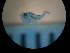  ( - MFL1421)  @12 [ ] Unspecified (default): All Rights Reserved  Unspecified Unspecified