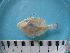  ( - MFL 1047)  @12 [ ] Unspecified (default): All Rights Reserved  Unspecified Unspecified