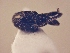  ( - MLPCU0039)  @11 [ ] Unspecified (default): All Rights Reserved  Unspecified Unspecified