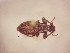  ( - MLPCU0295)  @11 [ ] Unspecified (default): All Rights Reserved  Unspecified Unspecified