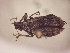  ( - MLPCU0297)  @11 [ ] Unspecified (default): All Rights Reserved  Unspecified Unspecified