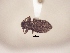  ( - MLPCU0372)  @11 [ ] Unspecified (default): All Rights Reserved  Unspecified Unspecified