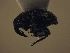  ( - MLPCU0064)  @12 [ ] Unspecified (default): All Rights Reserved  Unspecified Unspecified