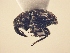  (BaridinaeGEN sp. AL11 - MLPCU0064)  @13 [ ] Unspecified (default): All Rights Reserved  Unspecified Unspecified