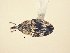  ( - MLPCU0105)  @13 [ ] Unspecified (default): All Rights Reserved  Unspecified Unspecified