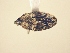  (BaridinaeGEN - MLPCU0113)  @13 [ ] Unspecified (default): All Rights Reserved  Unspecified Unspecified