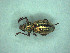  ( - MLPCU0491)  @11 [ ] Unspecified (default): All Rights Reserved  Unspecified Unspecified
