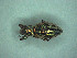  ( - MLPCU0496)  @11 [ ] Unspecified (default): All Rights Reserved  Unspecified Unspecified