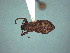 ( - MLPCU0537)  @11 [ ] Unspecified (default): All Rights Reserved  Unspecified Unspecified