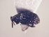  ( - MLPCU0057)  @12 [ ] Unspecified (default): All Rights Reserved  Unspecified Unspecified