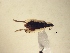  ( - MLPCU0172)  @11 [ ] Unspecified (default): All Rights Reserved  Unspecified Unspecified