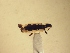  ( - MLPCU0173)  @11 [ ] Unspecified (default): All Rights Reserved  Unspecified Unspecified