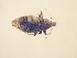  ( - MLPCU0280)  @11 [ ] Unspecified (default): All Rights Reserved  Unspecified Unspecified