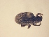  ( - MLPCU0260)  @11 [ ] Unspecified (default): All Rights Reserved  Unspecified Unspecified