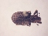  ( - MLPCU0261)  @11 [ ] Unspecified (default): All Rights Reserved  Unspecified Unspecified
