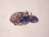  ( - MLPCU0262)  @11 [ ] Unspecified (default): All Rights Reserved  Unspecified Unspecified