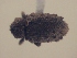  ( - MLPCU0300)  @11 [ ] Unspecified (default): All Rights Reserved  Unspecified Unspecified