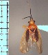  ( - ME224)  @11 [ ] No Rights Reserved (2018) Eugenia Minghetti Museo de La Plata
