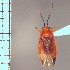  ( - ME225)  @11 [ ] No Rights Reserved (2018) Eugenia Minghetti Museo de La Plata