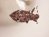  ( - MLPCU0407)  @13 [ ] Unspecified (default): All Rights Reserved  Unspecified Unspecified