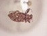  ( - MLPCU0409)  @13 [ ] Unspecified (default): All Rights Reserved  Unspecified Unspecified