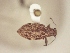  ( - MLPCU0411)  @13 [ ] Unspecified (default): All Rights Reserved  Unspecified Unspecified