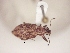  ( - MLPCU0413)  @13 [ ] Unspecified (default): All Rights Reserved  Unspecified Unspecified