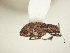  ( - MLPCU0414)  @13 [ ] Unspecified (default): All Rights Reserved  Unspecified Unspecified