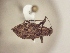  ( - MLPCU0415)  @13 [ ] Unspecified (default): All Rights Reserved  Unspecified Unspecified