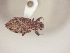  ( - MLPCU0416)  @12 [ ] Unspecified (default): All Rights Reserved  Unspecified Unspecified