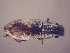  ( - MLPCU0271)  @11 [ ] Unspecified (default): All Rights Reserved  Unspecified Unspecified