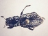  ( - MLPCU0189)  @11 [ ] Unspecified (default): All Rights Reserved  Unspecified Unspecified