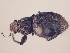  ( - MLPCU0020)  @11 [ ] Unspecified (default): All Rights Reserved  Unspecified Unspecified