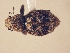  ( - MLPCU0157)  @11 [ ] Unspecified (default): All Rights Reserved  Unspecified Unspecified
