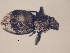  ( - MLPCU0321)  @11 [ ] Unspecified (default): All Rights Reserved  Unspecified Unspecified