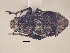  ( - MLPCU0336)  @11 [ ] Unspecified (default): All Rights Reserved  Unspecified Unspecified