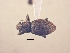  ( - MLPCU0139)  @11 [ ] Unspecified (default): All Rights Reserved  Unspecified Unspecified